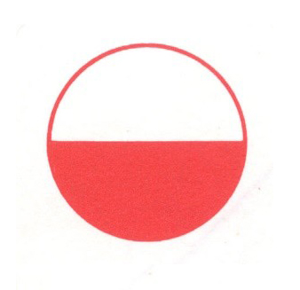 romanzi