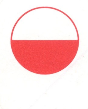 romanzi