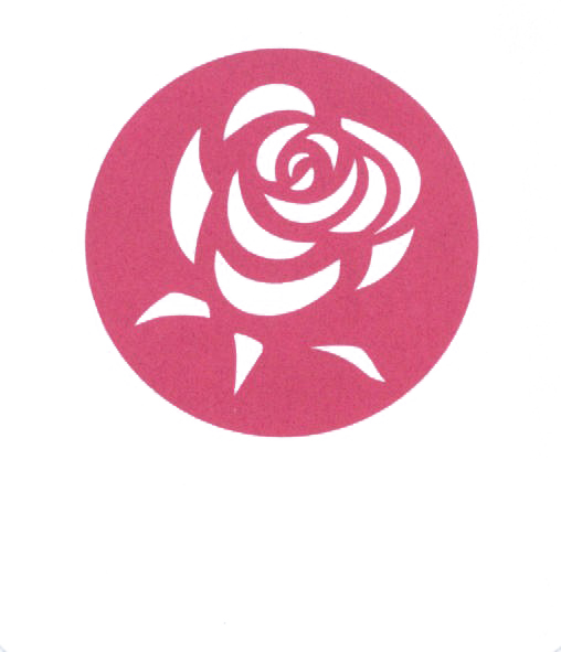 rosa